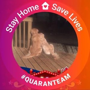 Meet your Posher, Lizz